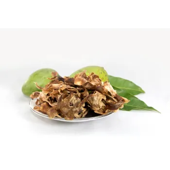 Dried Mango Leaves